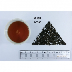 oolong, jinda, tea wholesale, manufacturer